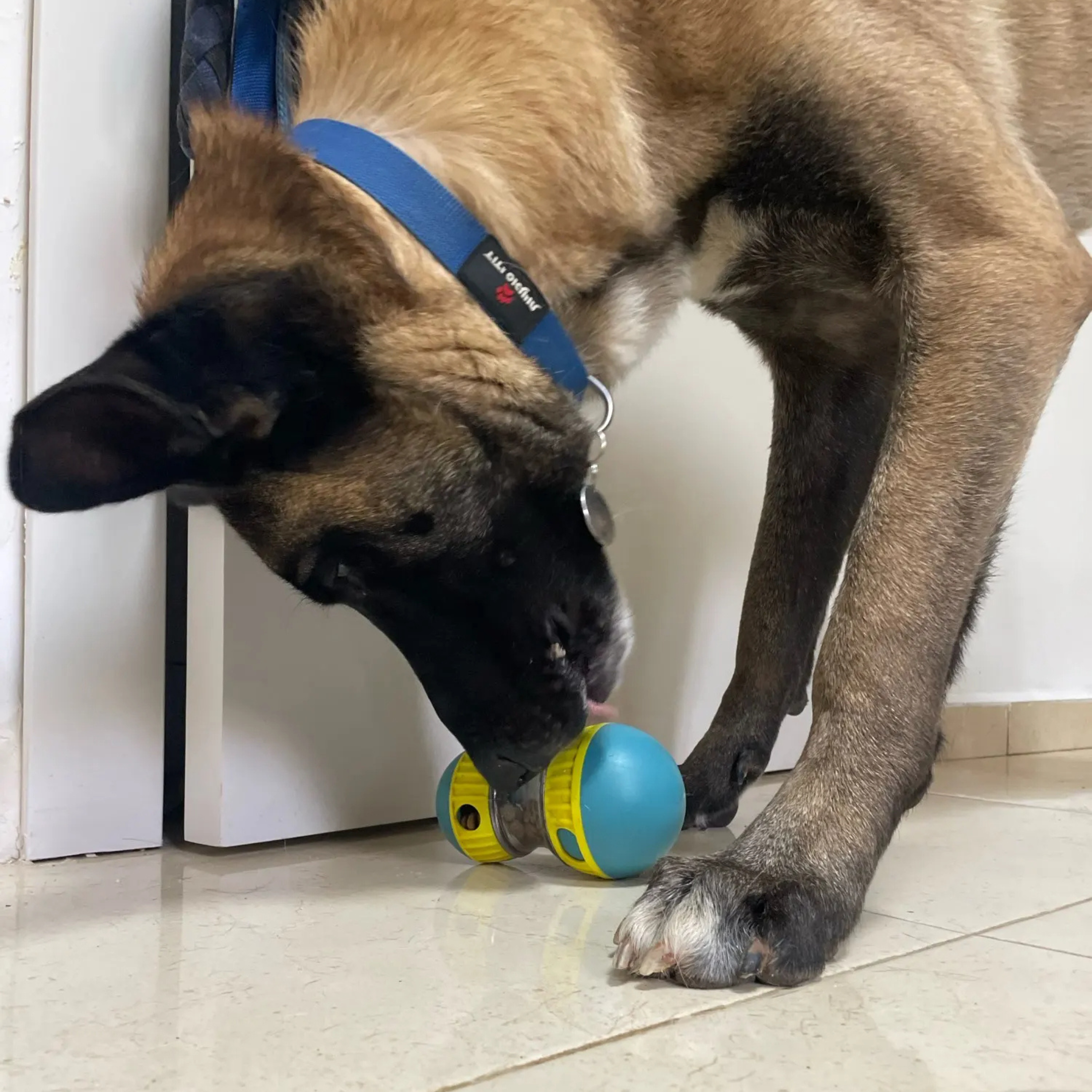 Interactive Treat Dispenser Toy